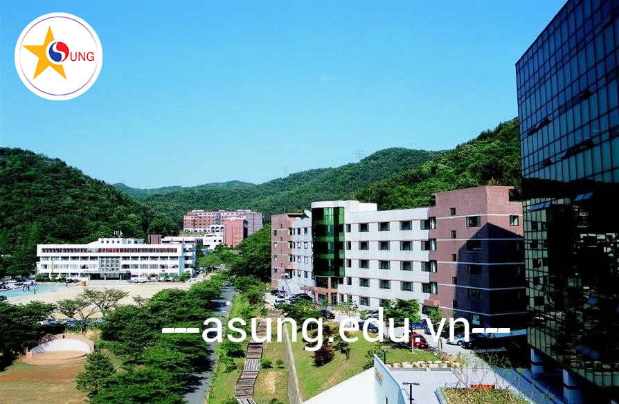 đại học Youngsan Hàn Quốc