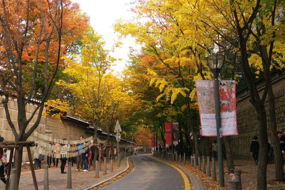 ngành quản trị khách sạn du lịch tại Hàn Quốc