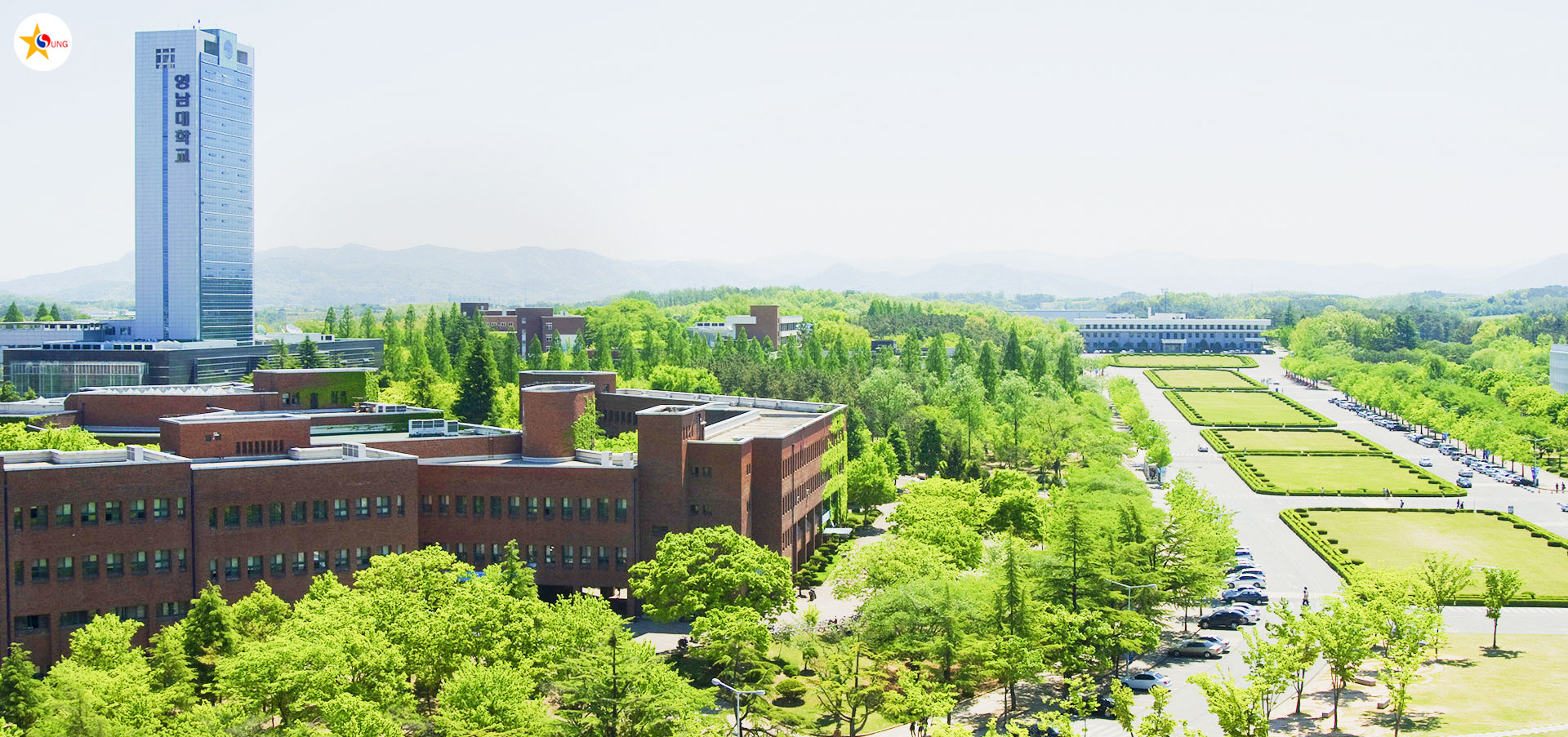 yeungnam-university